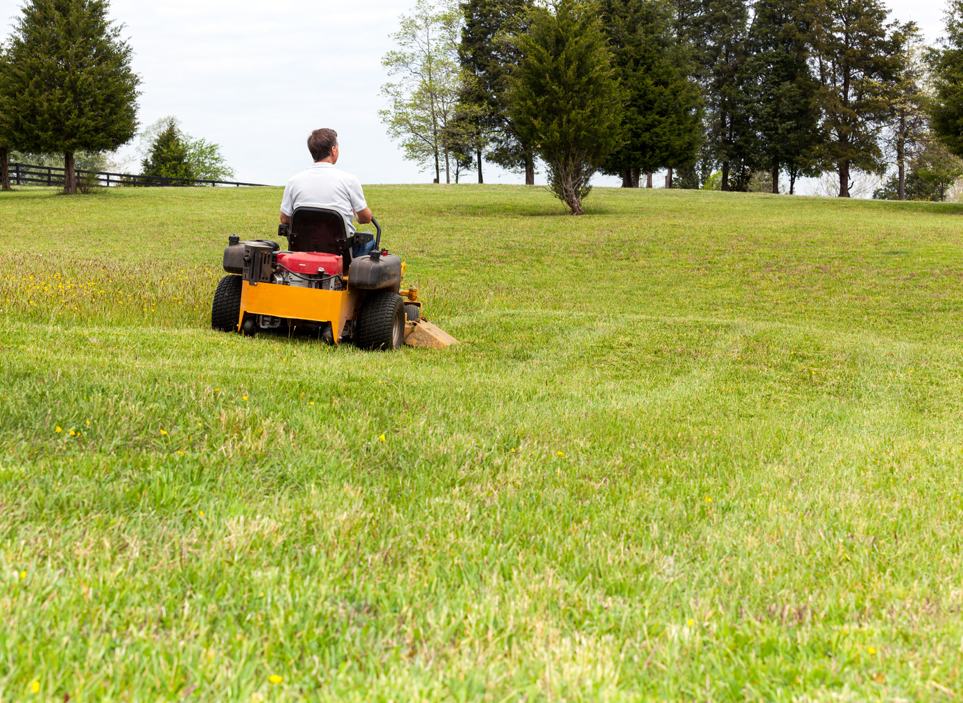 Senior Man on Zero Turn Lawn Mower on Turf
